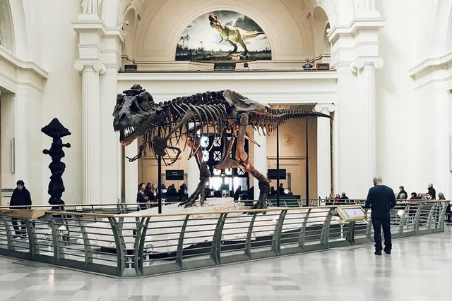 Chicago Field Museum Tour with Tickets - Image 5