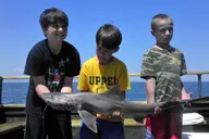 Cape May Fishing Experience thumbnail 3