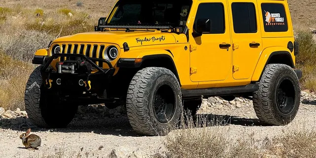 Las Vegas Off-Road Wildlife and Ghost Town Adventure - Image 3