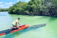 Fort Myers Dolphin and Manatee Adventure Tour 2 hr thumbnail 2