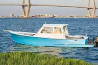 Charleston Harbor Dolphin Watching Sunset Cruise thumbnail 1