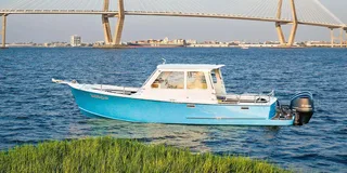 Charleston Harbor Dolphin Watching Sunset Cruise