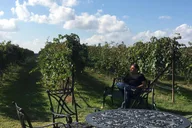 San Antonio Fredericksburg Wine Tour 7 hr thumbnail 5