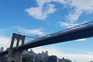 Brooklyn Historical Walking Tour thumbnail 5