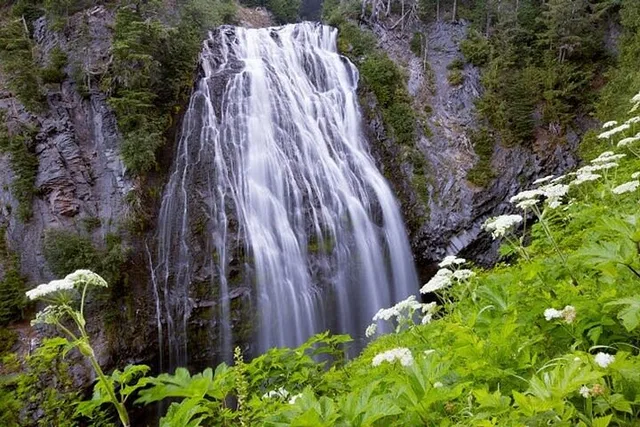 Portland Mt. Rainier Small Group Tour - Image 4