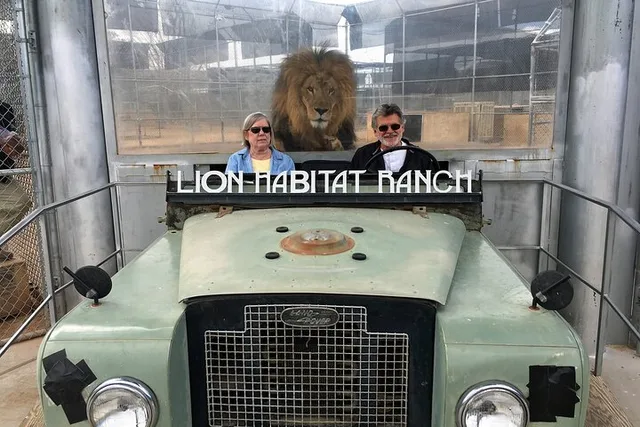 Las Vegas Lion Habitat Ranch Admission - Image 5