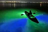 Sarasota Glass Bottom Kayak Night Tour thumbnail 2