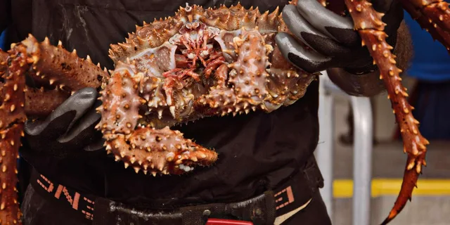 Ketchikan Bering Sea Crab Fisherman's Tour 3 hr - Image 6