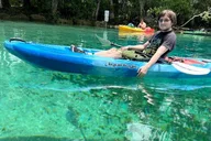 Crystal River Kayak Rental with Manatee Viewing 4 hr thumbnail 4