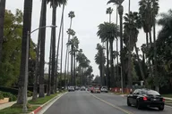 Los Angeles Private Tour of Hollywood and Beaches thumbnail 4