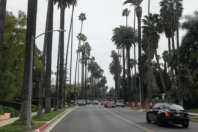 Los Angeles Private Tour of Hollywood and Beaches - Image 4