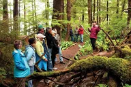 Ketchikan Rainforest Canoe and Nature Walk thumbnail 3