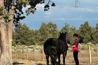 Oregon Horse Meditation Experience 1.5 hr thumbnail 3