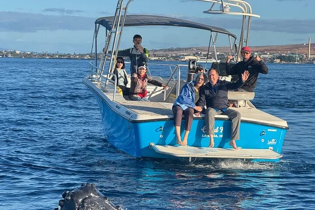 Kaanapali Beach Whale Watching Tour - Image 2