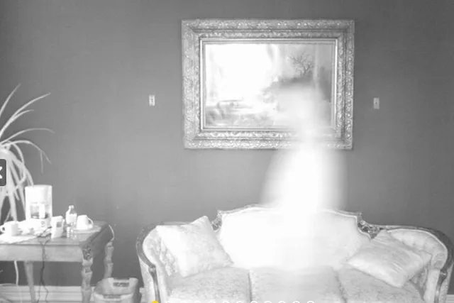 St. Louis Ghost Tour at Lemp Mansion 90 min - Image 4