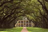 New Orleans Plantation and Swamp Tour thumbnail 2