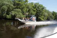 New Orleans Airboat Swamp Tour with Transport thumbnail 2