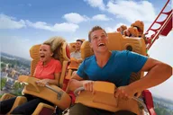 Orlando Theme Park 1 Park Per Day Tickets thumbnail 6
