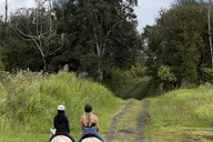 Pāhoa Rainforest Trail Ride thumbnail 6