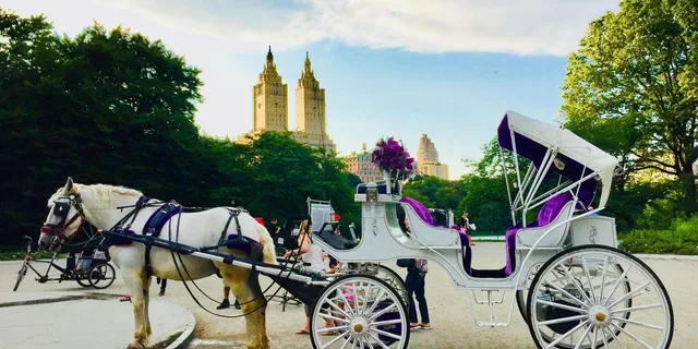 New York City Horse Carriage Ride in Central Park - Image 1