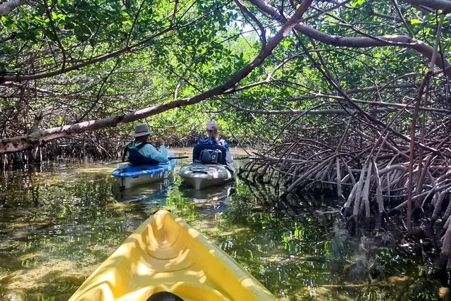 Geiger Key Mangrove Kayak or Paddleboard Adventure - Image 1
