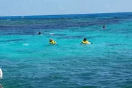 Key Largo Snorkeling Tour to John Pennekamp Coral Reef thumbnail 3