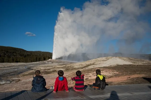 Yellowstone Old Faithful and Wildlife Tour - Image 6
