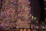 New York Holiday Lights Tour with Rockefeller Tree thumbnail 4