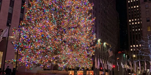 New York Holiday Lights Tour with Rockefeller Tree - Image 4