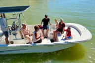 Marco Island Shelling and Dolphin Excursion thumbnail 6