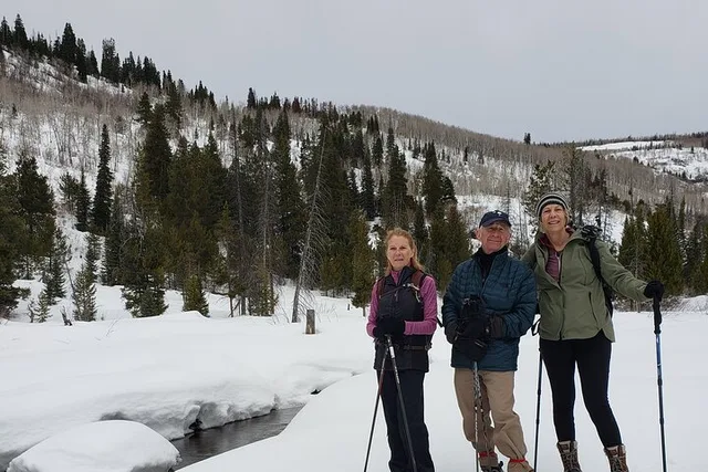 Uinta Forest Hike with Charcuterie Stop - Image 3