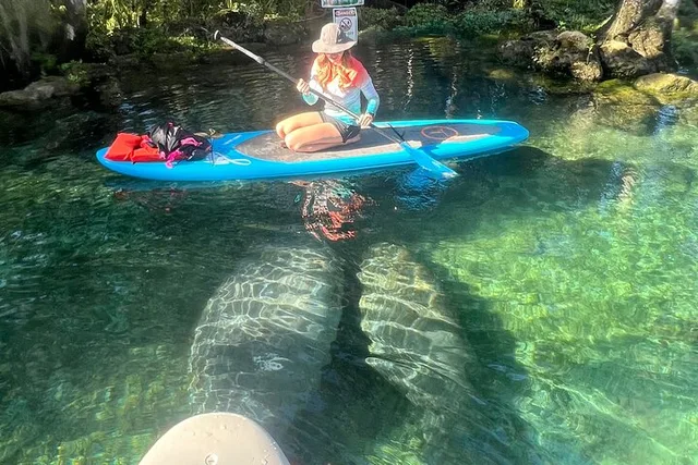 Crystal River Paddle Board Rental 3 Hr - Image 1