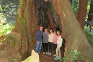 San Francisco Muir Woods and Wine Country Private Tour thumbnail 6