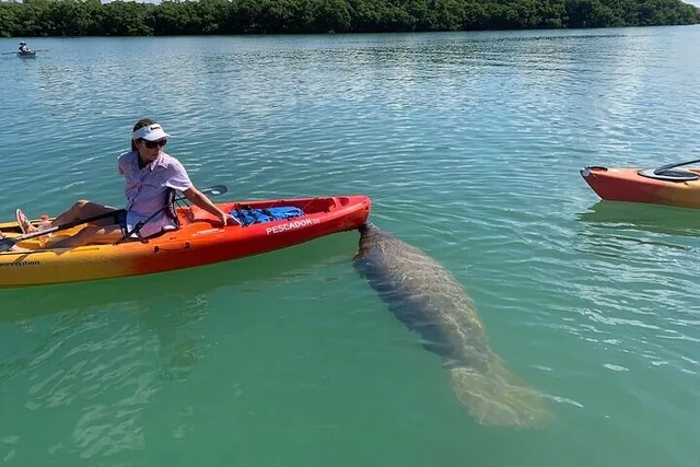 Siesta Key Eco Tour - Image 4