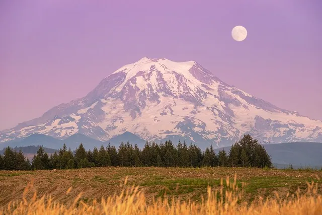 Mt. Rainier Gondola Ride at Sunrise and Paradise - Image 2