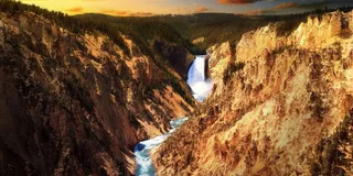 Jackson Yellowstone and Grand Teton Wildlife Tour 2 Days