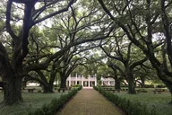 Whitney Plantation Tour with Transportation thumbnail 1