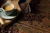 Seattle Coffee Tour: Bean to Cup thumbnail 1