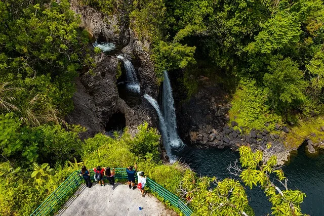Hilo Waterfall Swim and Hike - Image 4