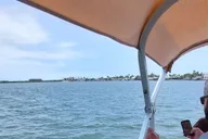 Cocoa Beach Dolphin and Manatee Eco Boat Tour thumbnail 3