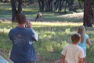 Grand Canyon Off-Road Sunset Safari thumbnail 5