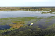 Florida Everglades Wildlife Boat Tour 90 Min thumbnail 5