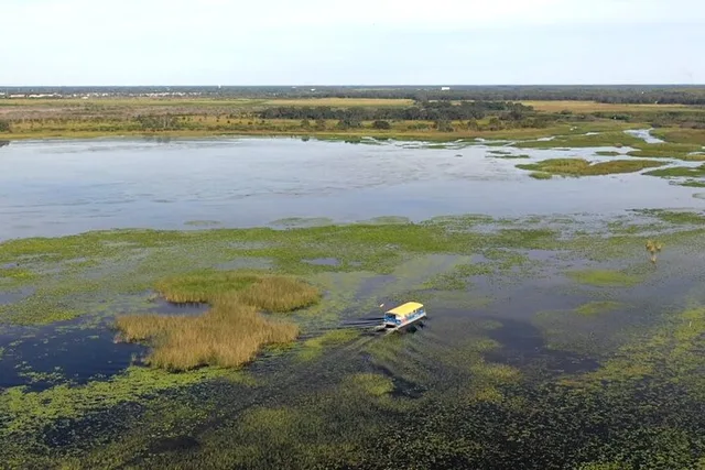Florida Everglades Wildlife Boat Tour 90 Min - Image 5