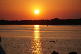Orange Beach Dolphin and Nature Sunset Cruise