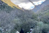 Tucson Sonoran Desert Guided Hike thumbnail 3