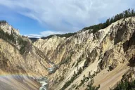 West Yellowstone Wildlife and Geyser Tour thumbnail 5