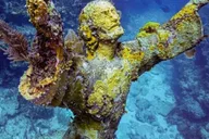 Key Largo Snorkeling Trip thumbnail 3