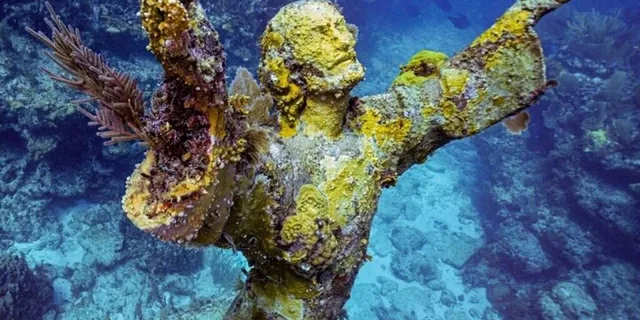 Key Largo Snorkeling Trip - Image 3