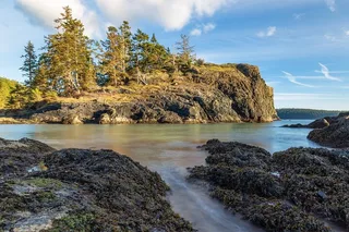 Whidbey Island and Deception Pass Excursion