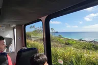 Oahu Snorkeling Tour with Turtles thumbnail 4